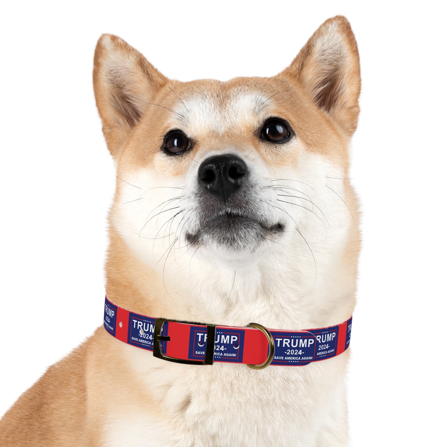 Save America Dog Collar
