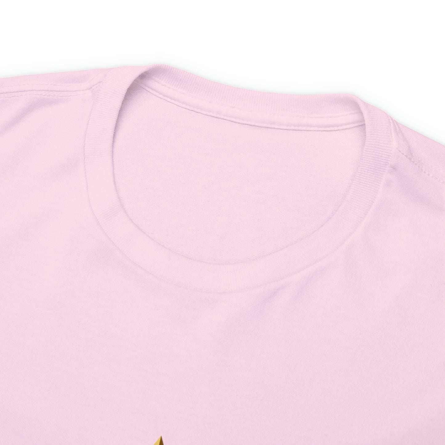 When You're a Star Donald Trump T-Shirt
