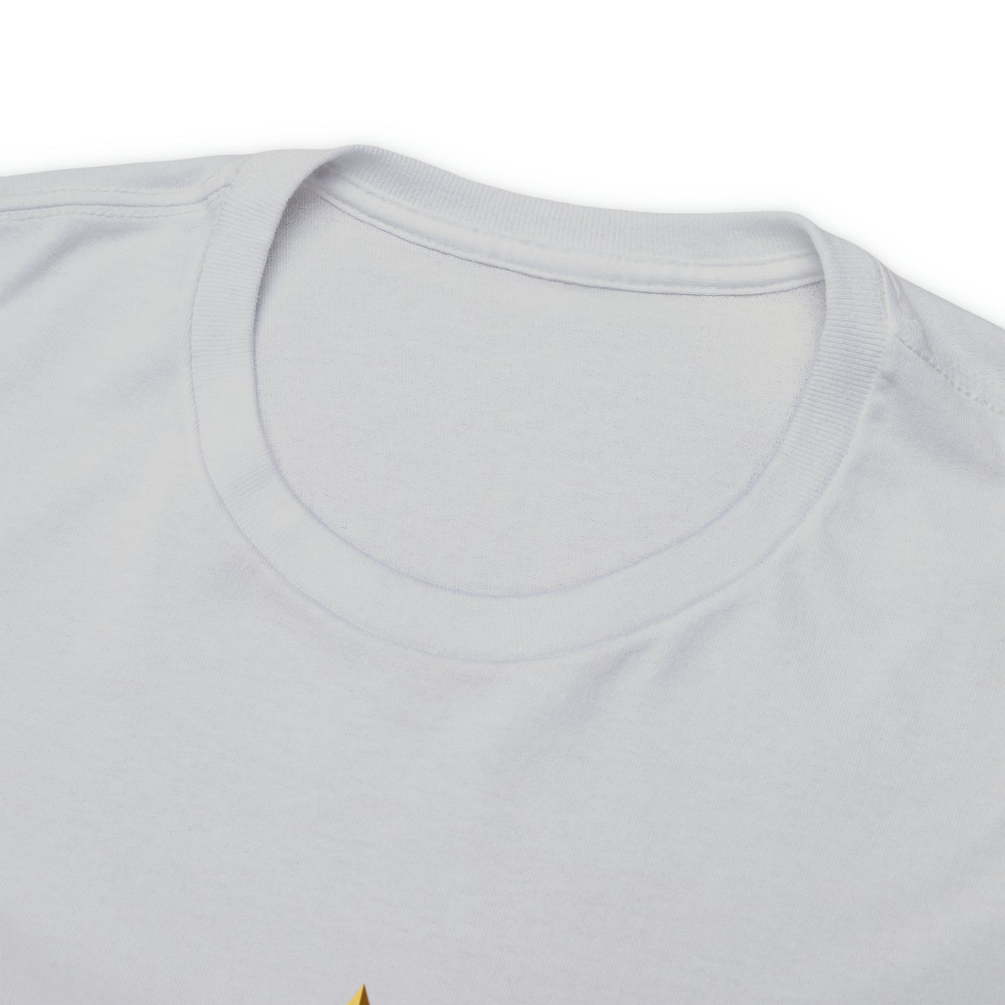 When You're a Star Donald Trump T-Shirt