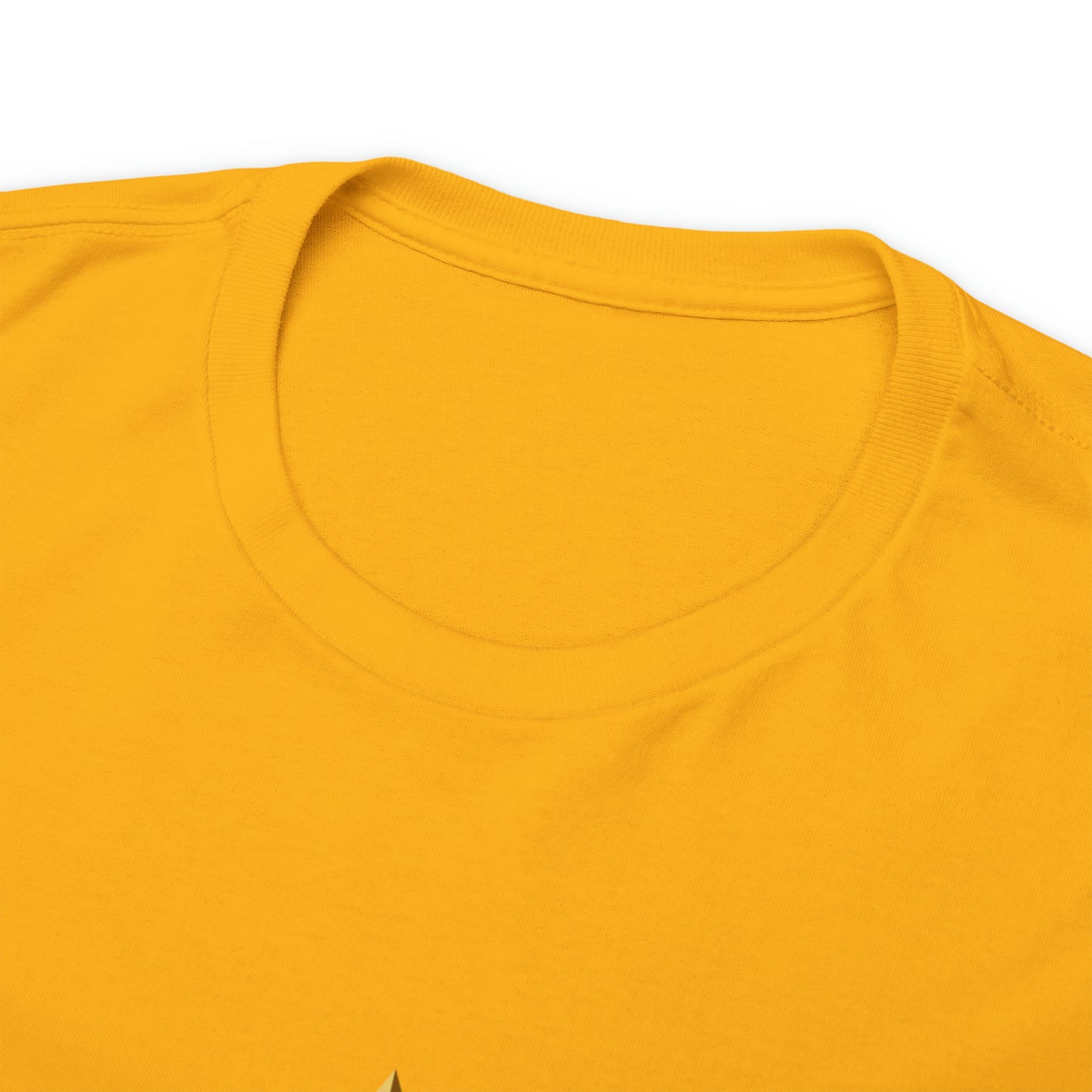 When You're a Star Donald Trump T-Shirt