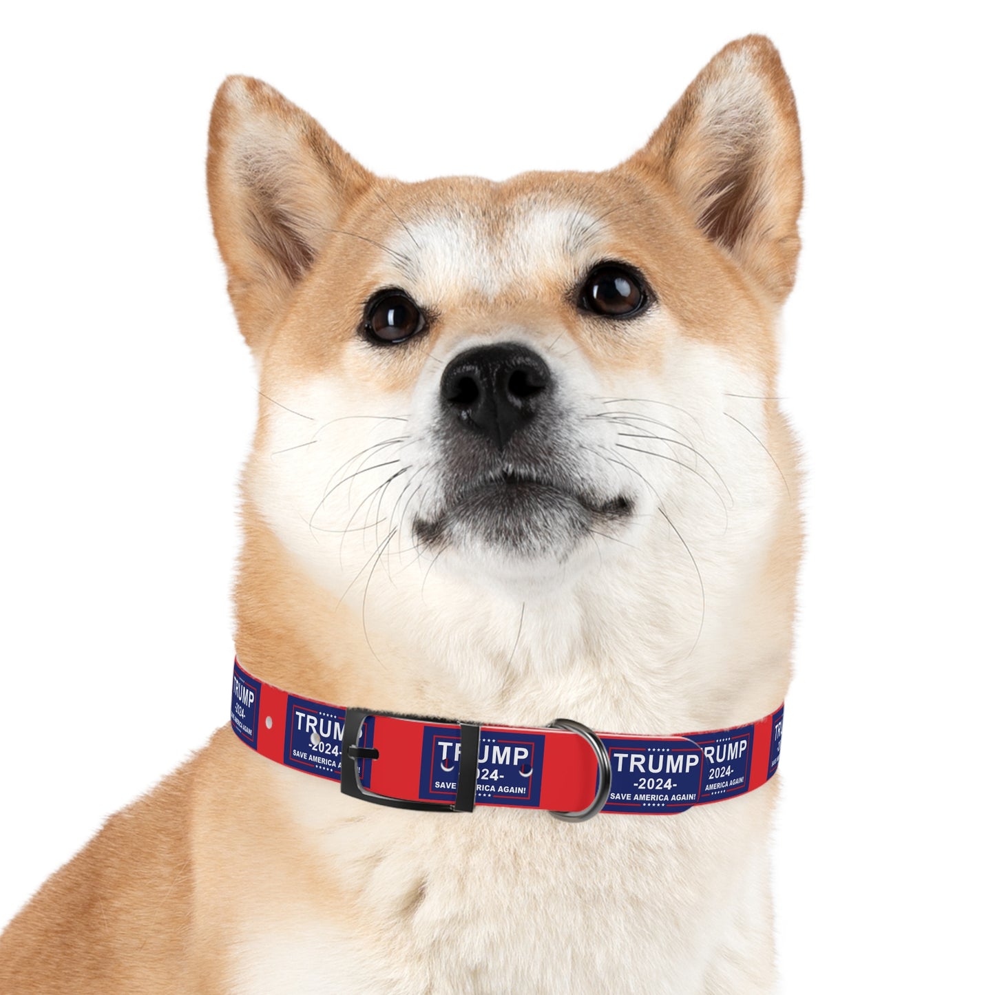 Save America Dog Collar