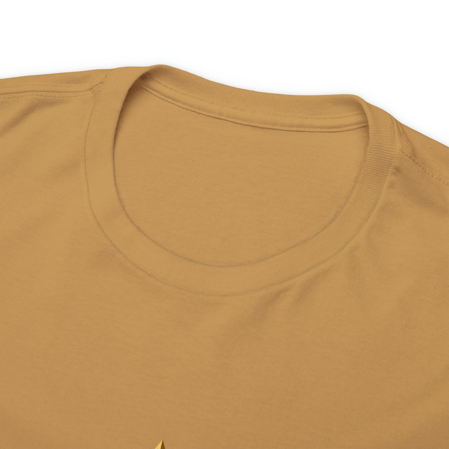 When You're a Star Donald Trump T-Shirt