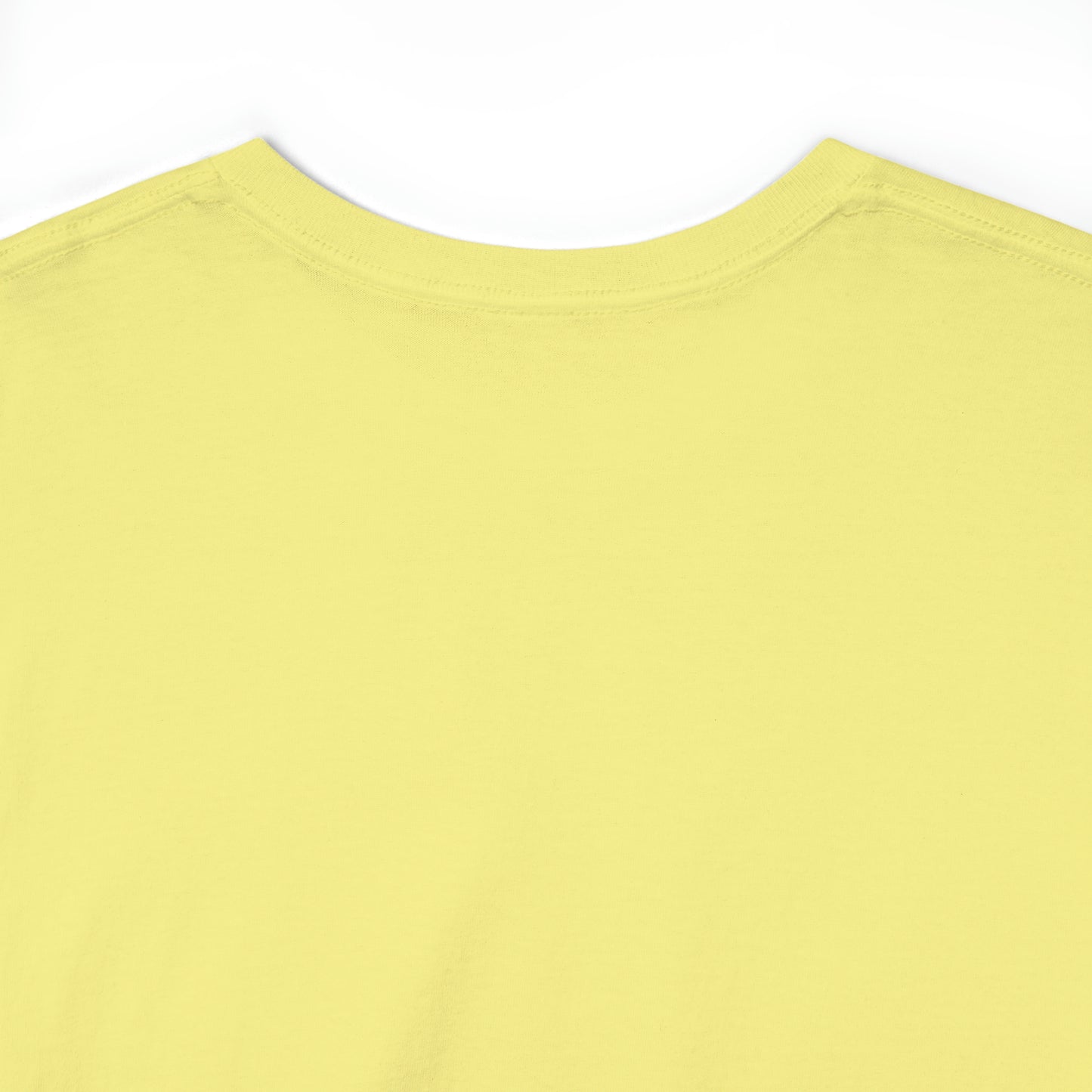 When You're a Star Donald Trump T-Shirt