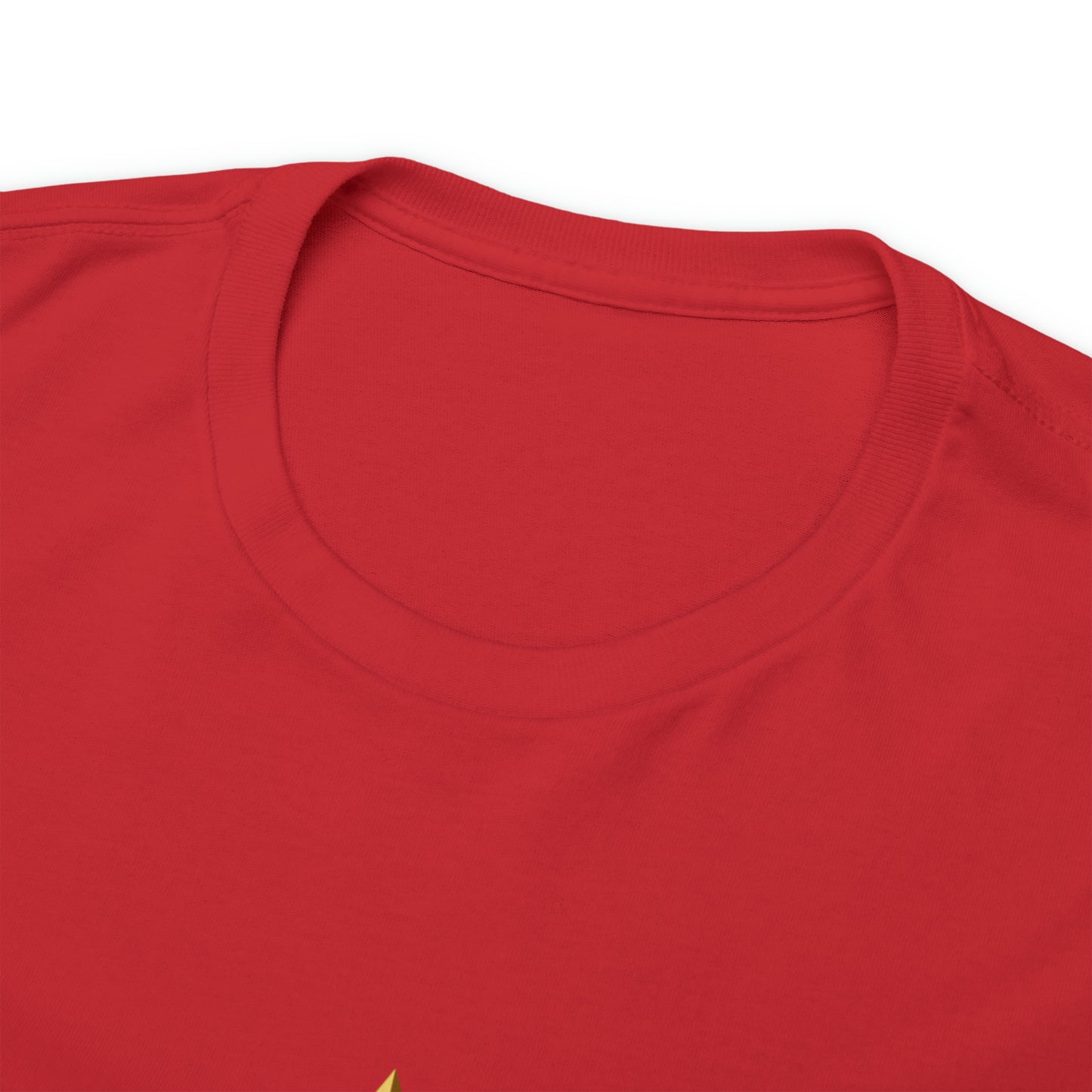 When You're a Star Donald Trump T-Shirt