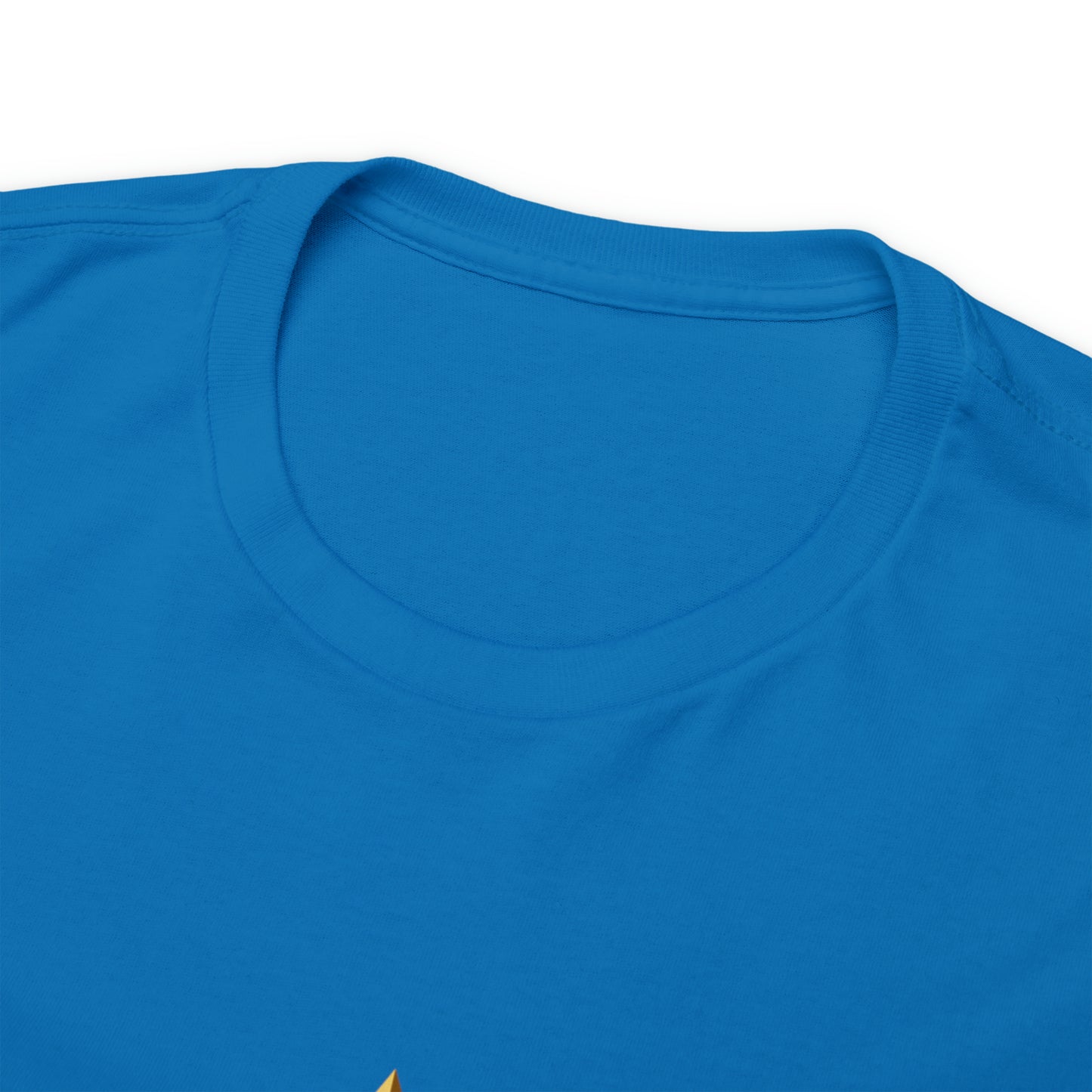 When You're a Star Donald Trump T-Shirt