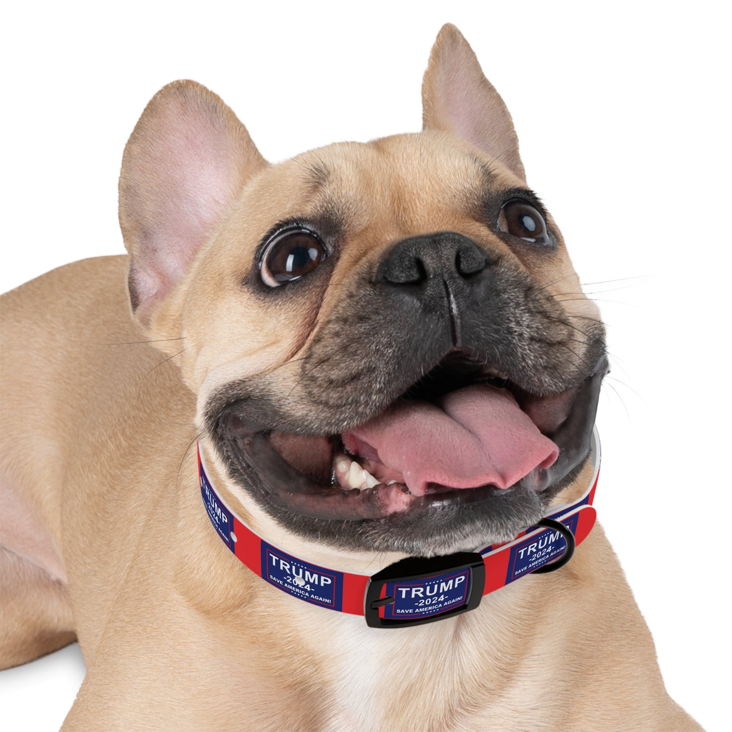 Save America Dog Collar