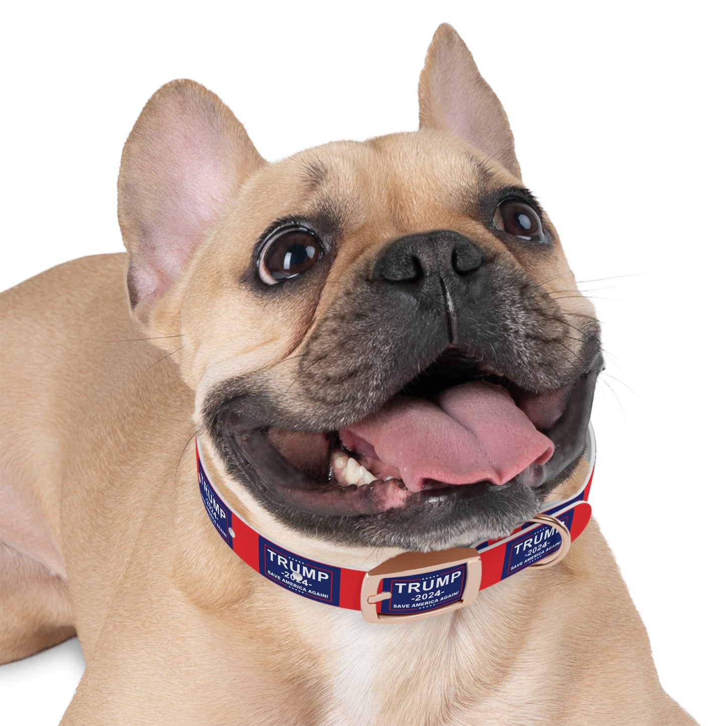 Save America Dog Collar