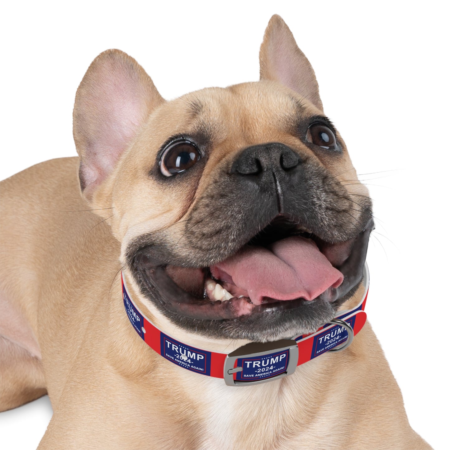 Save America Dog Collar