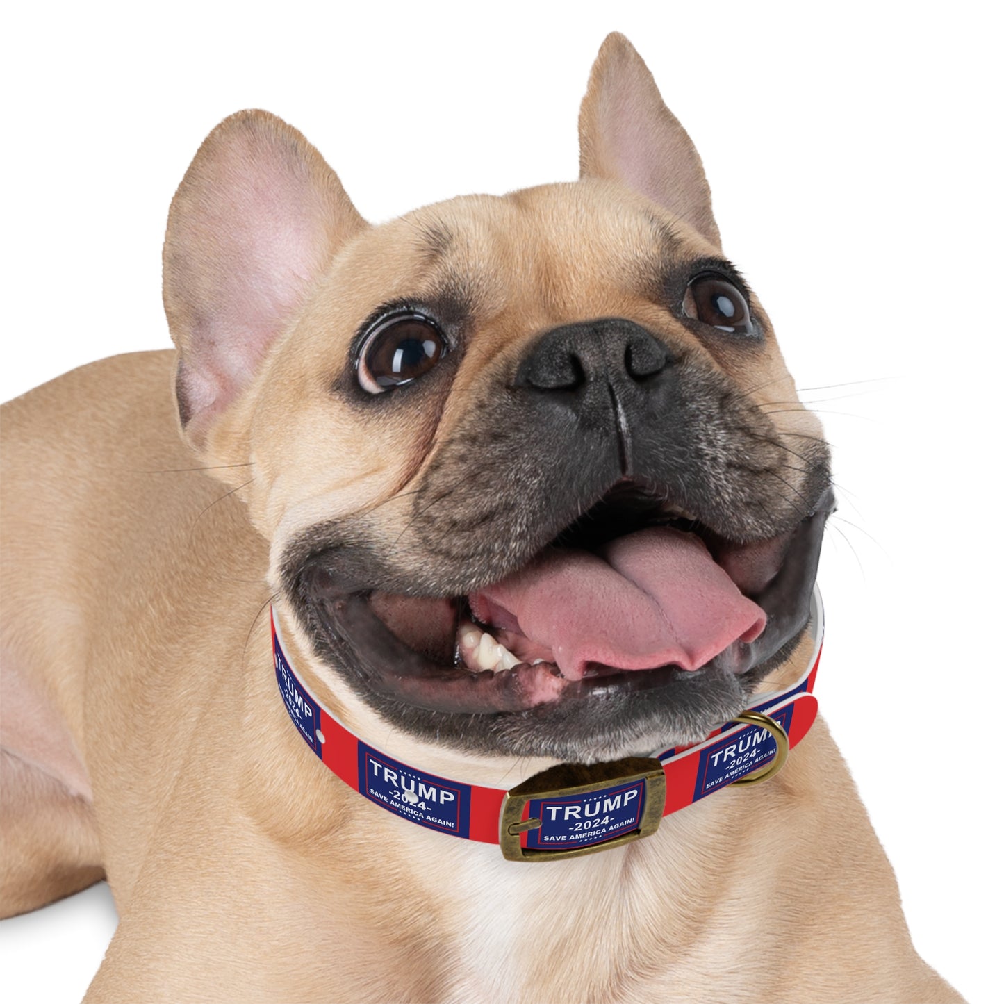 Save America Dog Collar