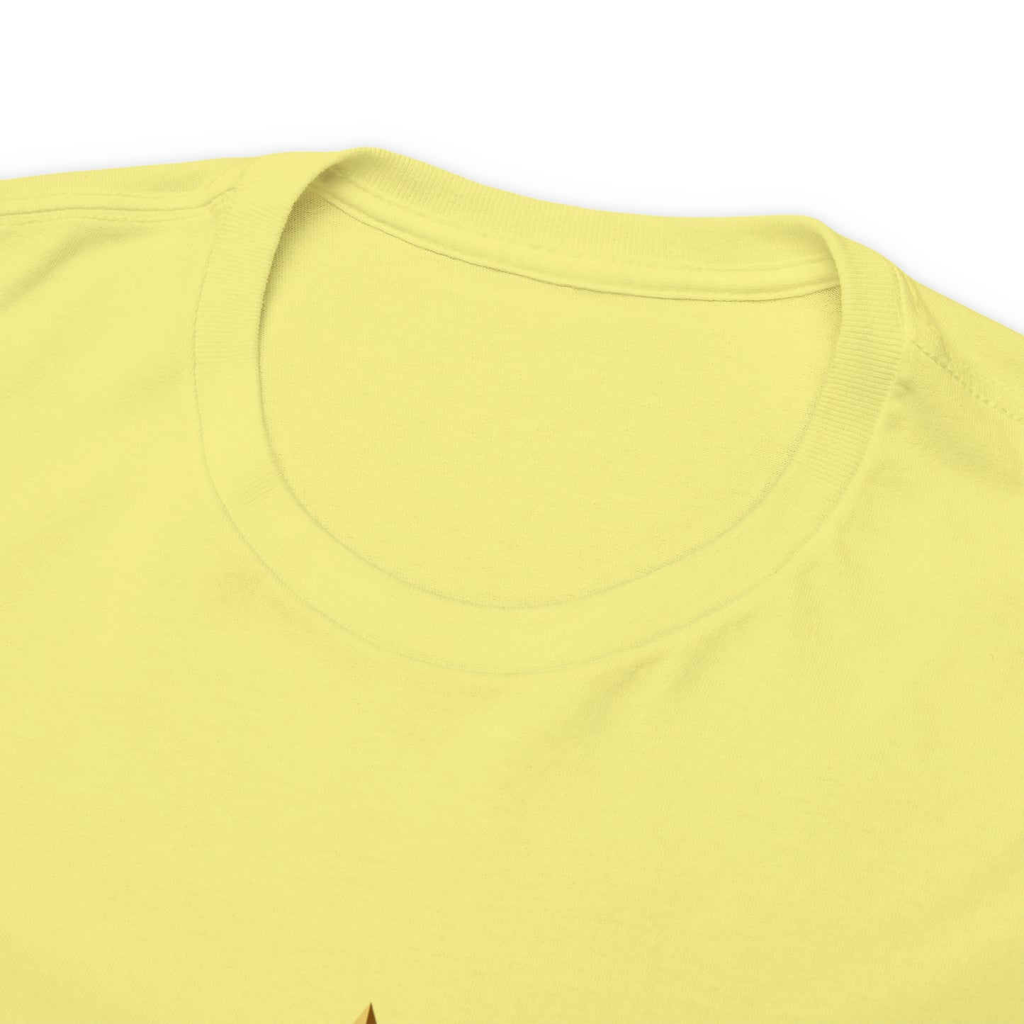 When You're a Star Donald Trump T-Shirt