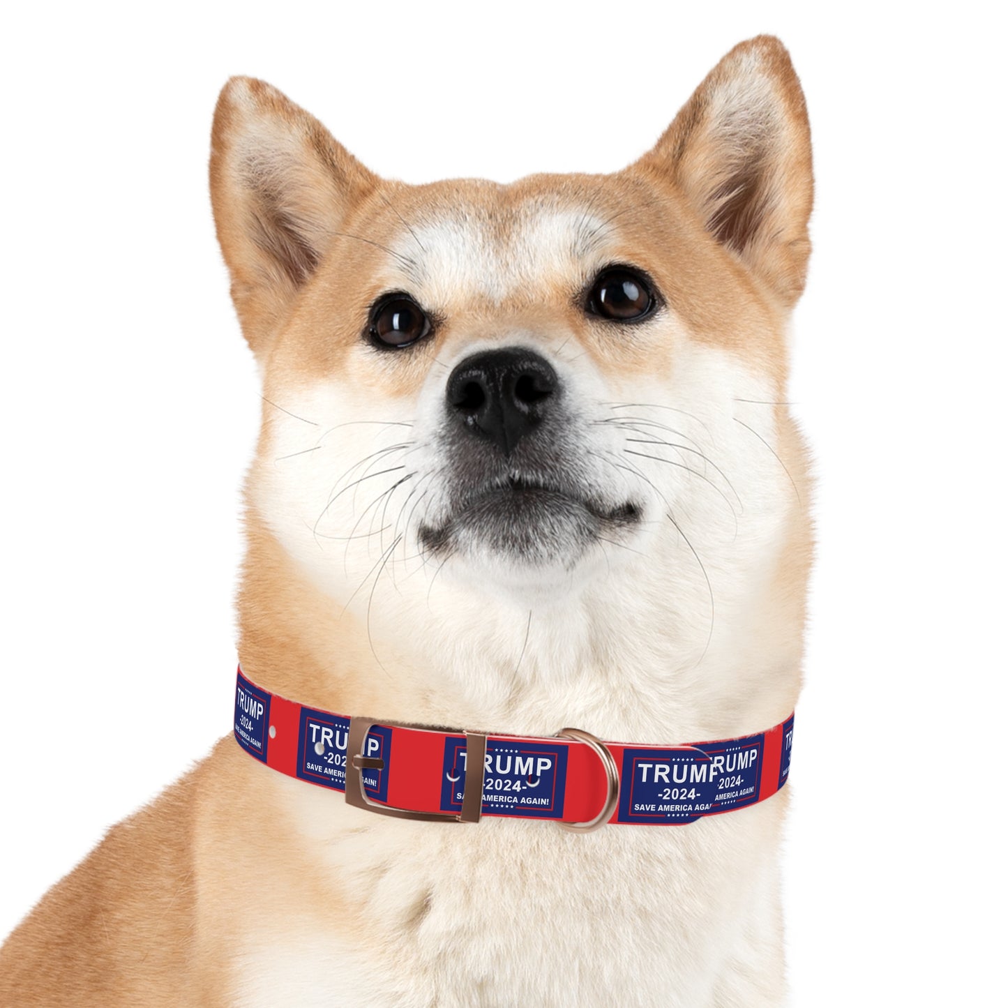 Save America Dog Collar