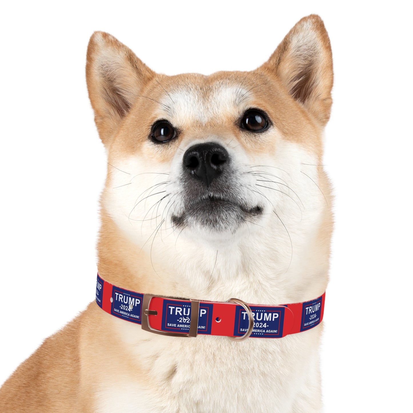 Save America Dog Collar