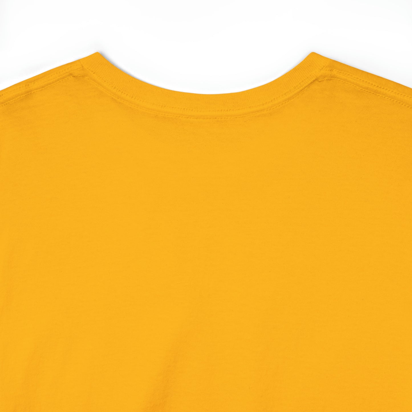 Donald Trump 2024 Classic T-Shirt