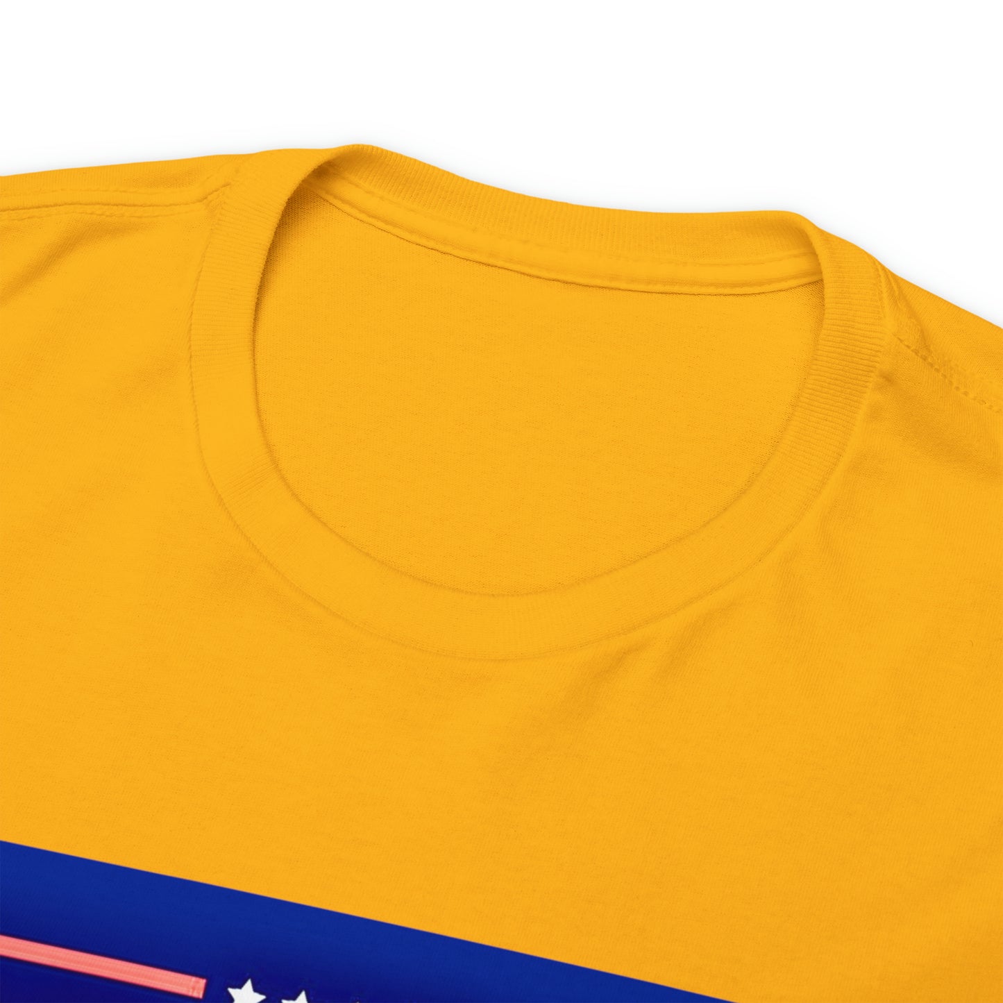 Donald Trump 2024 Classic T-Shirt
