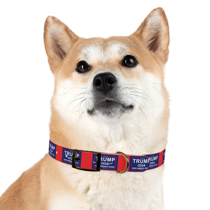 Save America Dog Collar