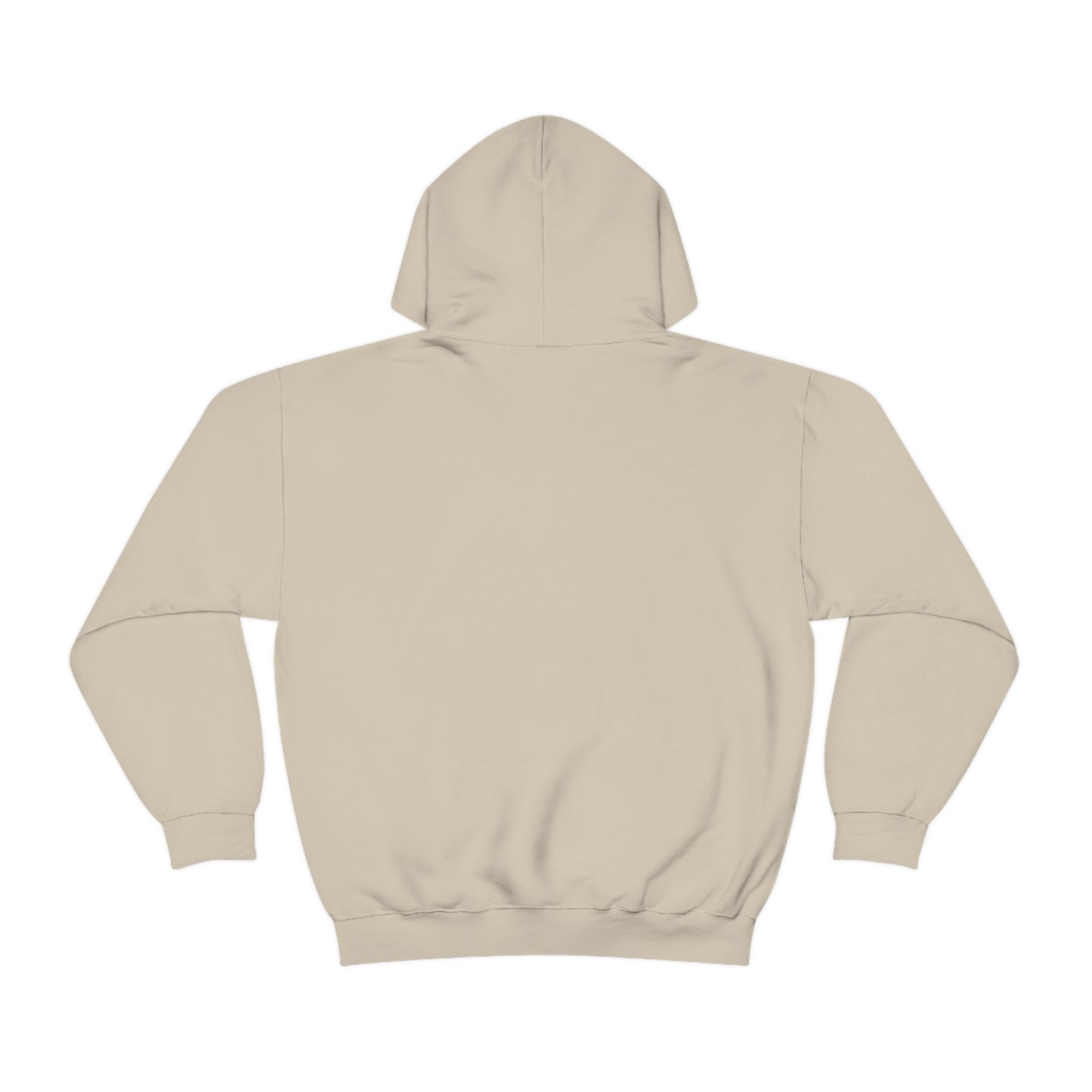 AIR 45 Hooded Donald Trump Sweatshirt