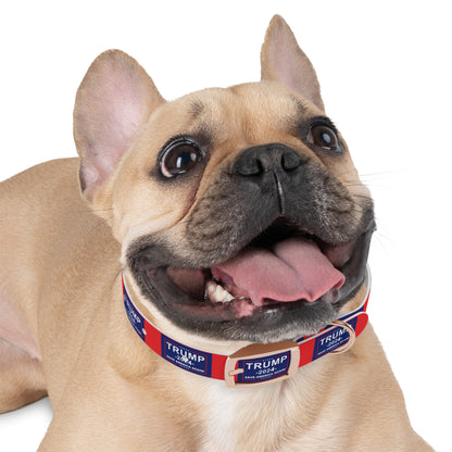 Save America Dog Collar